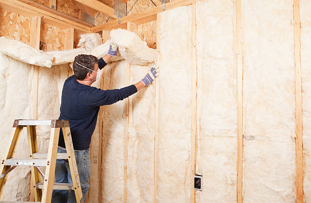 Best Crawl Space Insulation in Selmer, TN