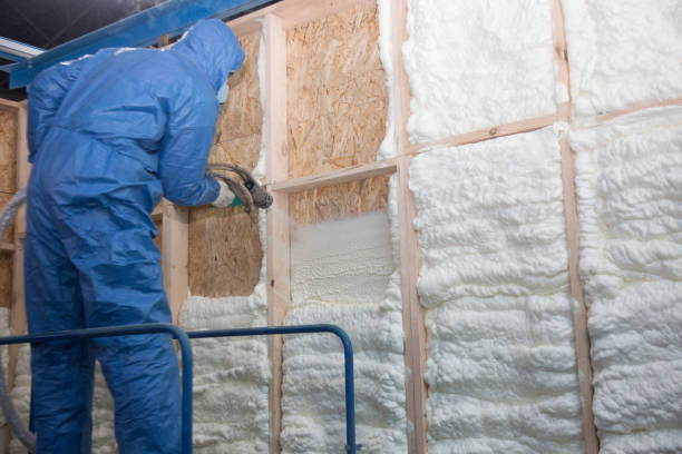 Best Insulation Air Sealing in Selmer, TN